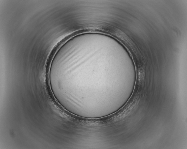 X0000112981020200909171334