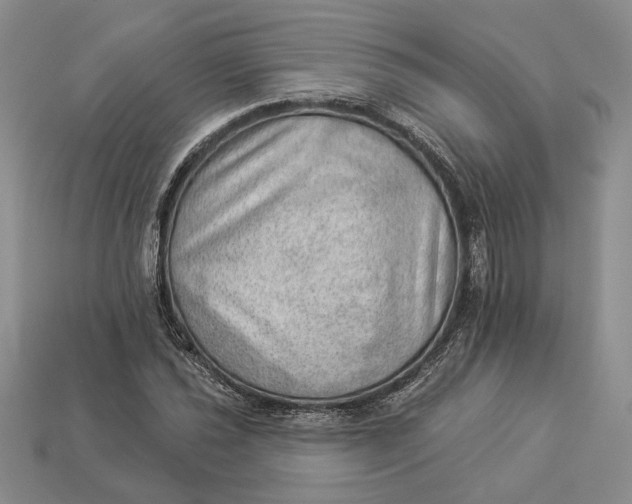 X0000112981021200909171334