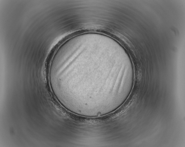 X0000112981022200909171334