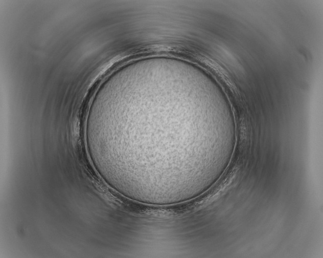 X0000112981023200909171334