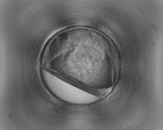 X0000112981024200909171334