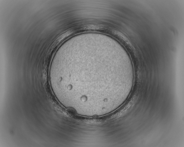 X0000112981025200909171334