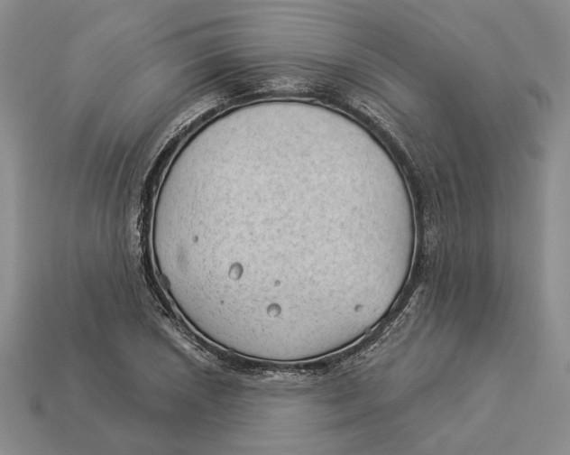 X0000112981026200909171334