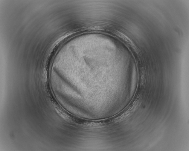 X0000112981027200909171334