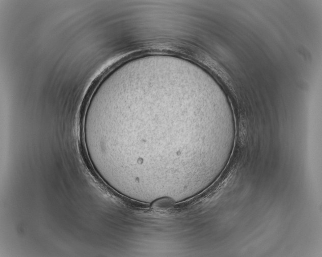 X0000112981028200909171334