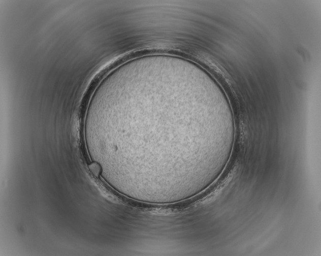 X0000112981029200909171334