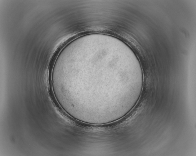 X0000112981030200909171334