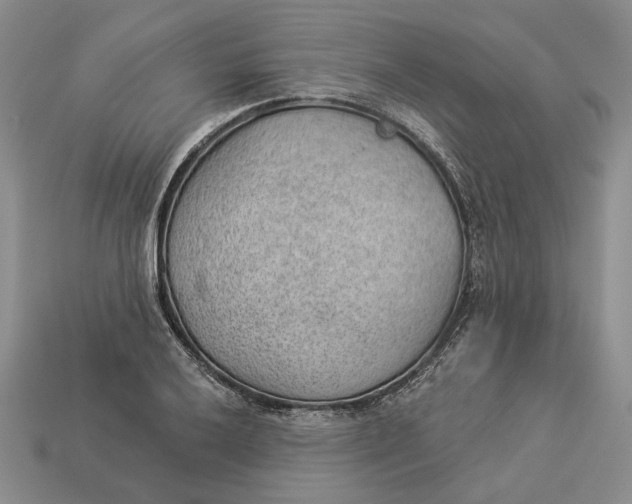 X0000112981032200909171334