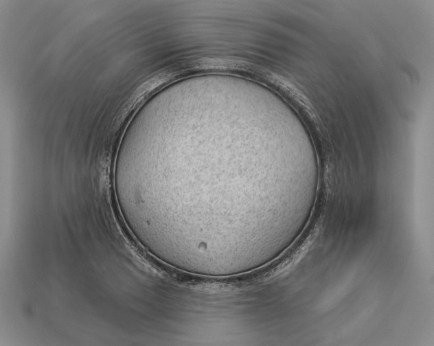 X0000112981033200909171334