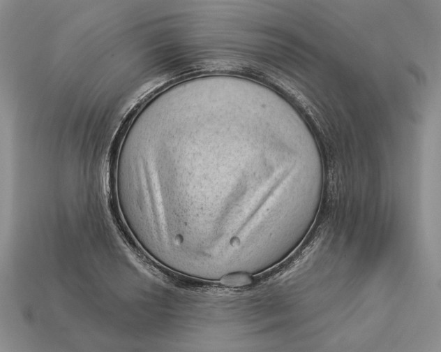 X0000112981034200909171334