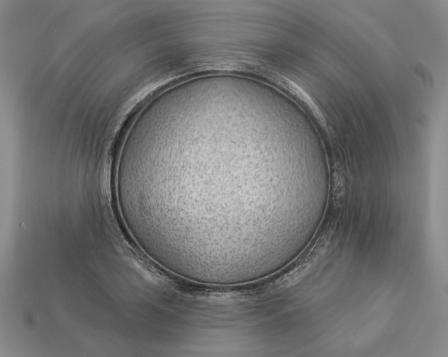 X0000112981035200909171334