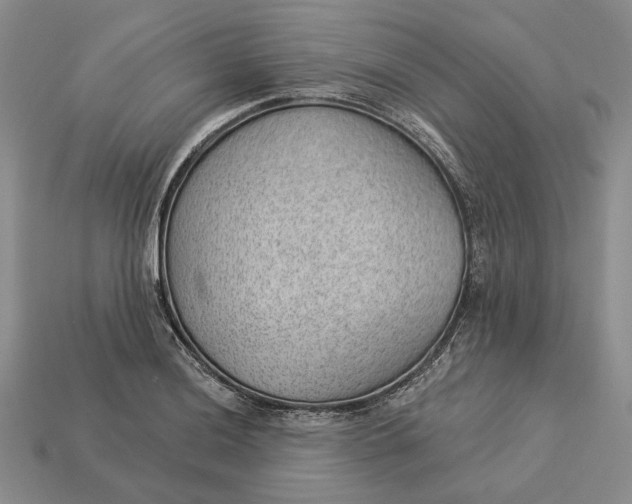 X0000112981036200909171334