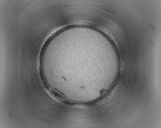 X0000112981037200909171334