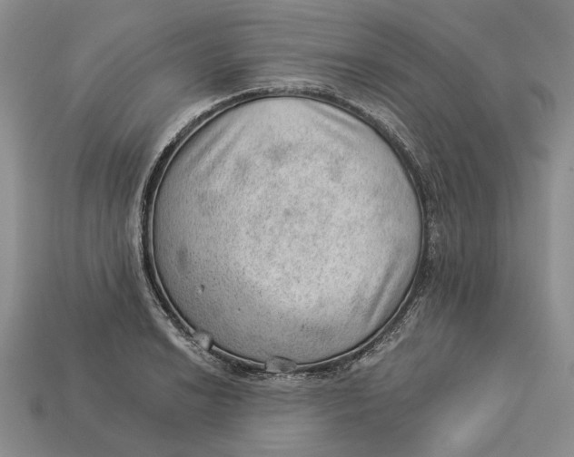 X0000112981038200909171334