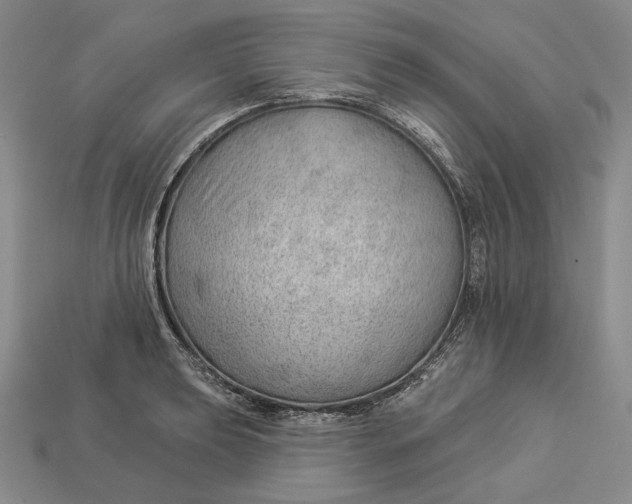 X0000112981039200909171334