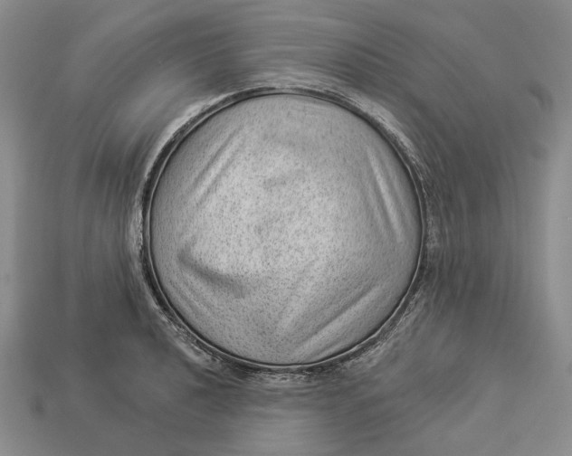 X0000112981040200909171334