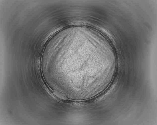 X0000112981041200909171334