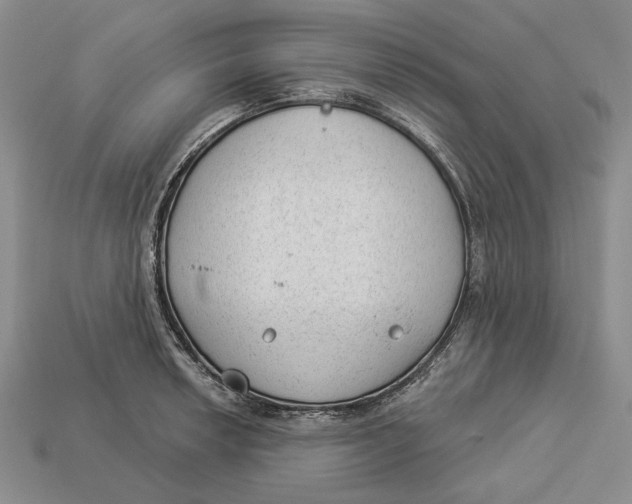 X0000112981042200909171334