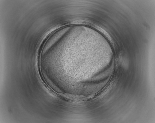 X0000112981043200909171334