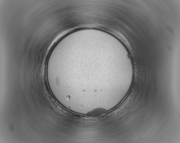 X0000112981044200909171334