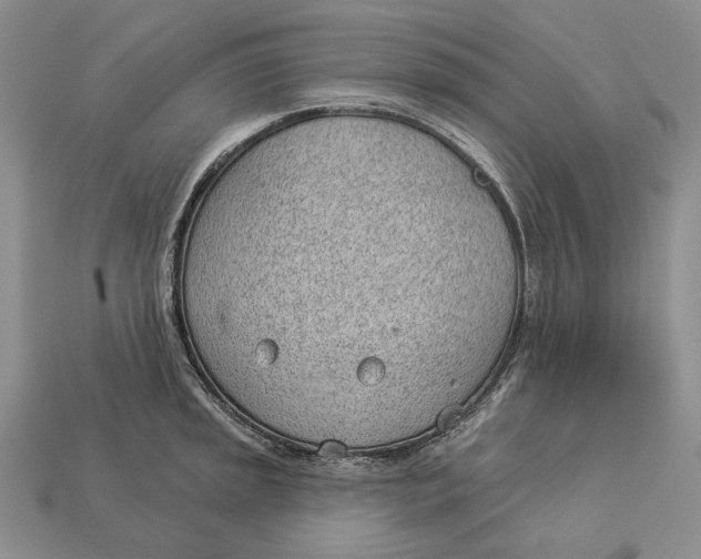 X0000112981045200909171334