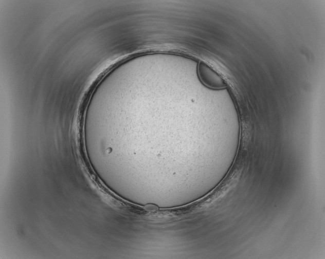 X0000112981046200909171334