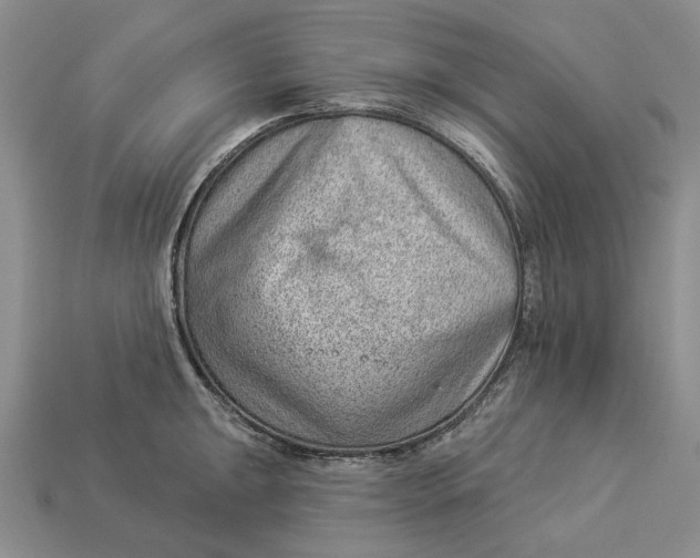 X0000112981047200909171334