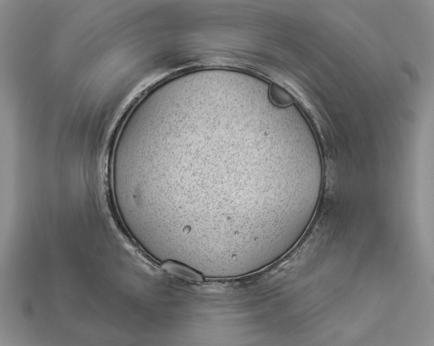 X0000112981048200909171334