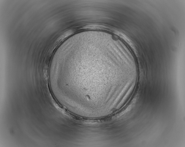 X0000112981049200909171334