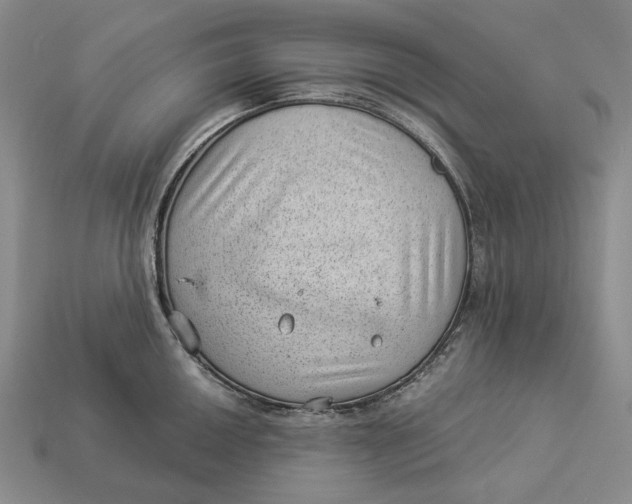 X0000112981050200909171334