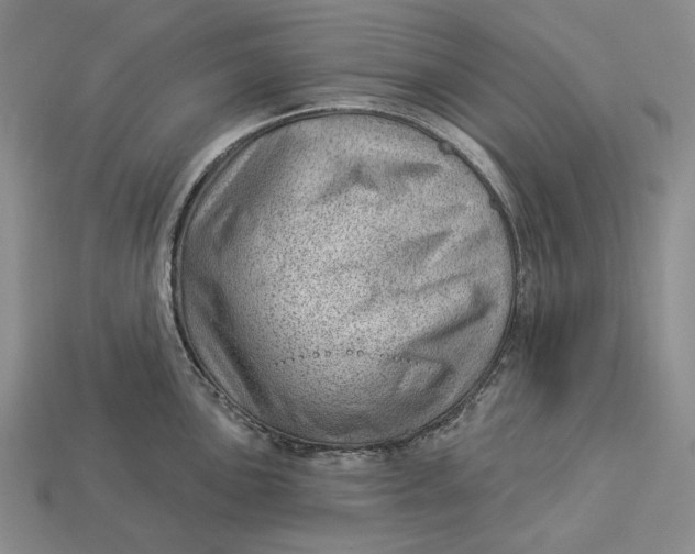 X0000112981051200909171334