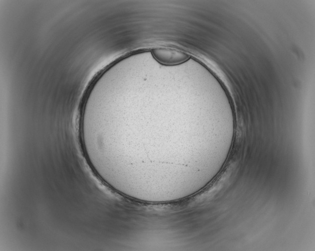 X0000112981053200909171334