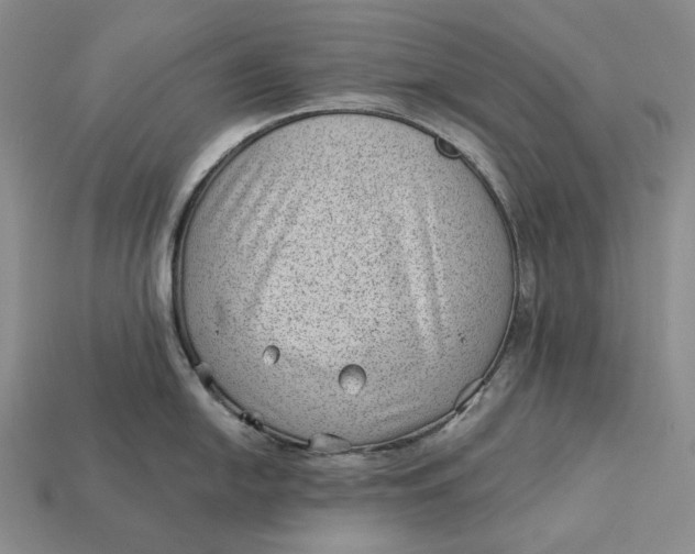 X0000112981054200909171334