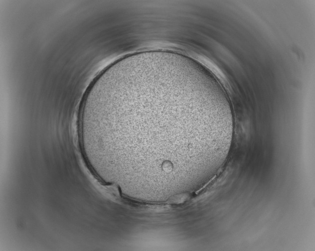 X0000112981055200909171334