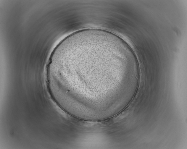 X0000112981056200909171334