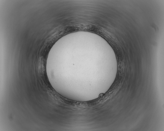 X0000112981058200909171334