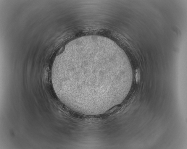 X0000112981059200909171334