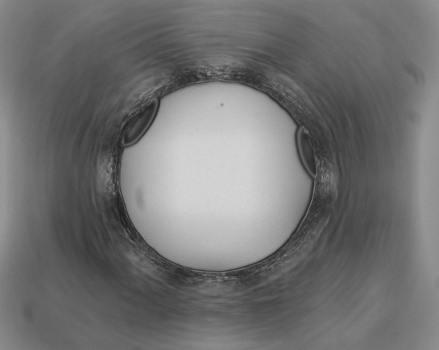 X0000112981060200909171334