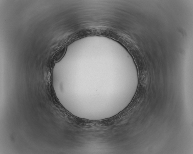 X0000112981061200909171334