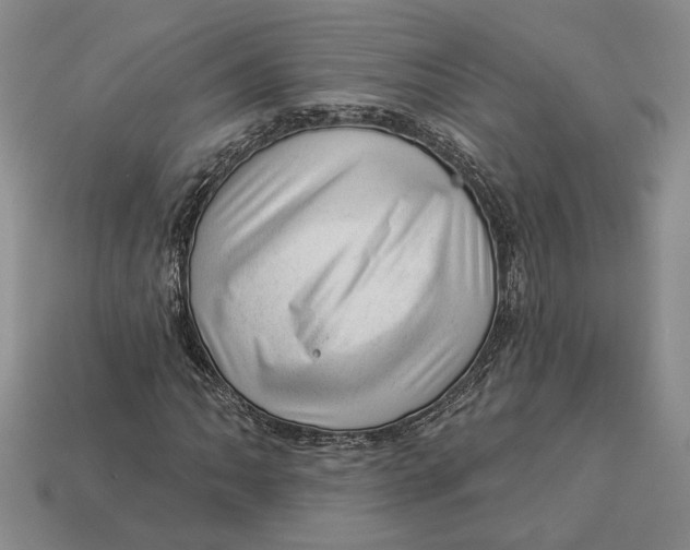 X0000112981062200909171334