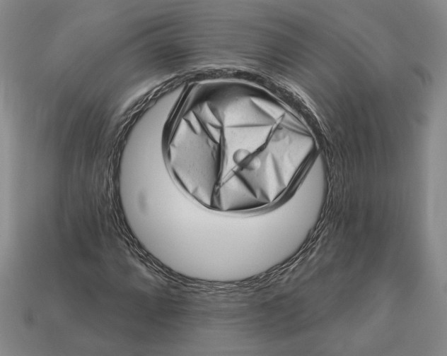 X0000112981064200909171334