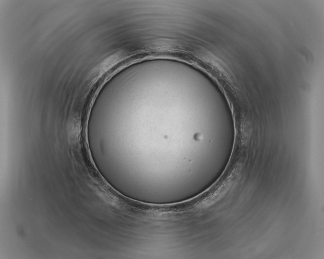 X0000112981065200909171334