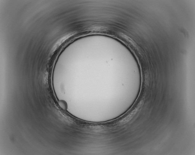 X0000112981066200909171334