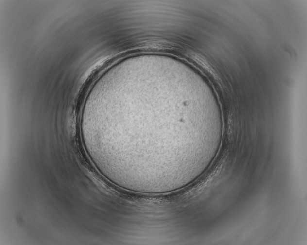 X0000112981067200909171334