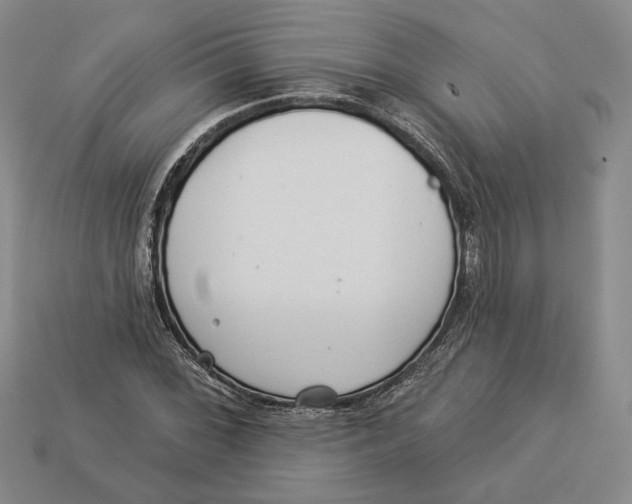 X0000112981068200909171334