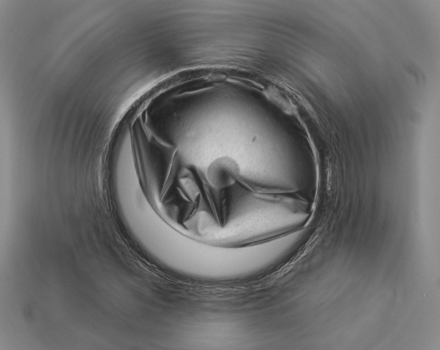 X0000112981069200909171334