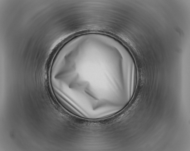 X0000112981070200909171334