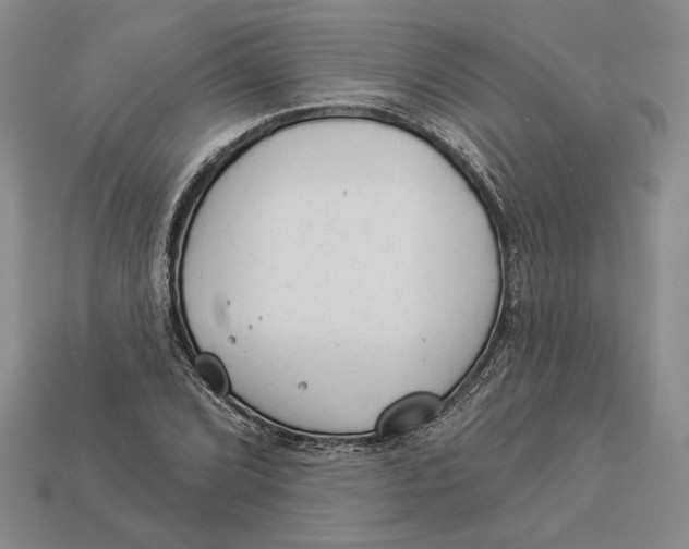 X0000112981072200909171334