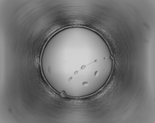 X0000112981073200909171334