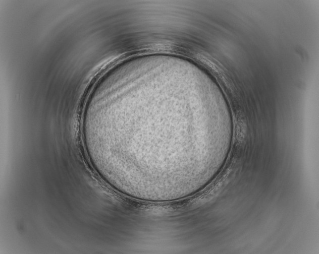 X0000112981074200909171334